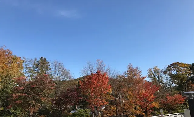 北海道秋